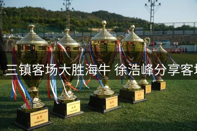 三镇客场大胜海牛 徐浩峰分享客场更衣室新体验