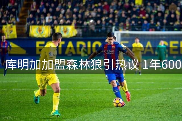 库明加加盟森林狼引热议 1年600万签约被评超值