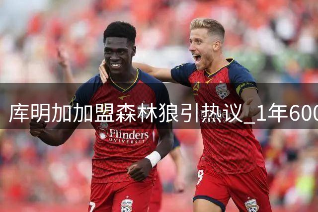 库明加加盟森林狼引热议 1年600万签约被评超值